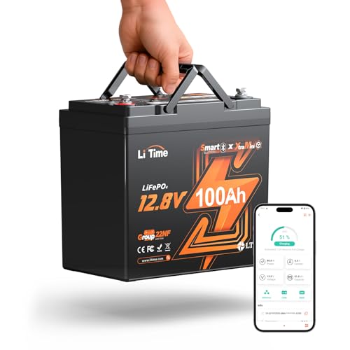 Litime 12V 100Ah Xtra Mini LiFePO4 Battery Bluetooth, Up to...