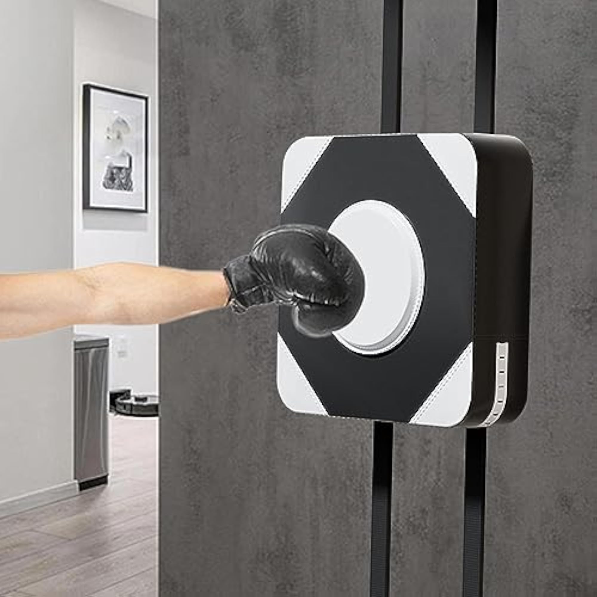 Wall Mounted Boxing Target Pad for Martial Arts Fitness, White