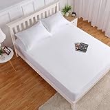2 Pack Fitted Sheet Queen Size Egyptian Cotton Queen Fitted Sheet 16" Deep Pocket 600-Thread-Count W