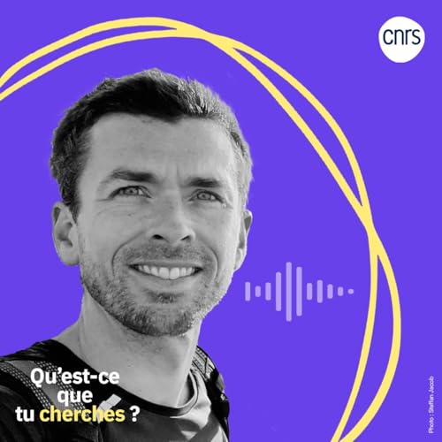 Page de couverture de Qu'est-ce que tu cherches ? | #PodcastCNRS Quand la nature déménage | Staffan Jacob (CNRS)