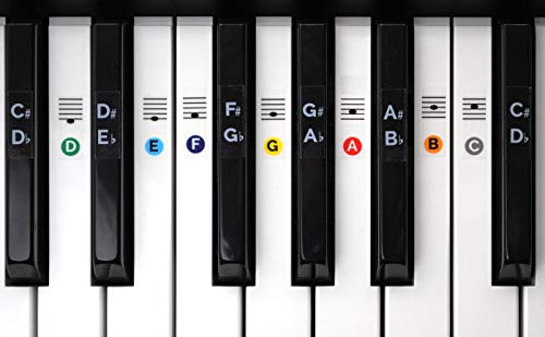 Color Piano Keyboard Stickers- Removable, Transparent, for White & Black Keys - Thumbnail 6