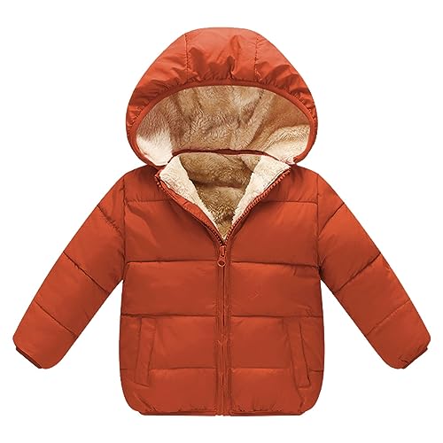2024 Winter Fleece Jacket Coat Autumn/Winter Preschool Girls/Boys Long Sleeve Hooded Removable Fleece Filled Jacket
