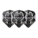 LSTYLE EZ L1 Berry Van Peer V4 Type D - Dart Flights