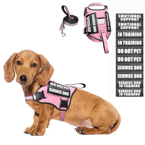 Service Dog Harness and Leash Set, Training Dog Vest with 10 Dog Patches, Emotional Support Therapy Dog Vest Harness for Small Medium Large and Extra Large Dogs(Pink, XS)