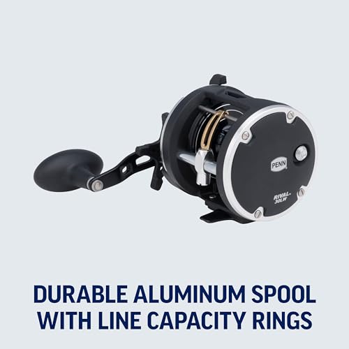 Image of PENN Rival Level Wind Conventional Fishing Reel