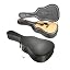 EPP_Acoustic_Guitar_Case