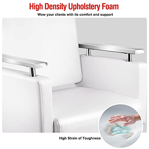 Baasha Salon Chair, Purple Salon Chair For Hair Stylish, Hair Salon Chair Hair Chair With Heavy-Duty Steel Frame, Shampoo Chair Stylist Chair Tattoo Chair, Beauty Salon Equipment - Puprle #TOP3