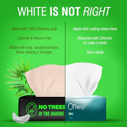 Image of Beco Bamboo Super Soft 2-ply Car Tissue Box| Facial Tissue-100 pulls x 3 Packs (300 Pulls) | 100% Natural & Ecofriendly