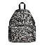 Volcamo Black