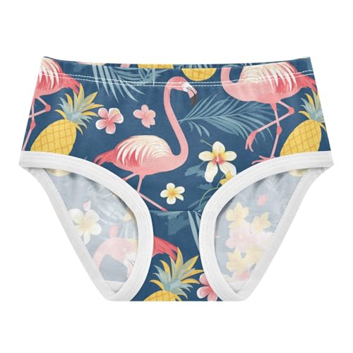 Wusikd Flamingos Girls' Underwear Cotton Pineapples Girls Briefs Soft Toddler Underwear 2T