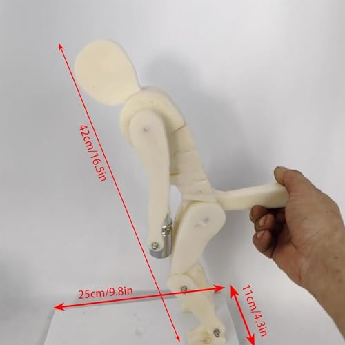 Modelo Pro Correct Lifting para demostración de postura correcta en ejercicios y levantamiento de cargas, con base, entrenador interactivo de postura corporal y columna lumbar para biomecánica y anatomía miniatura 3