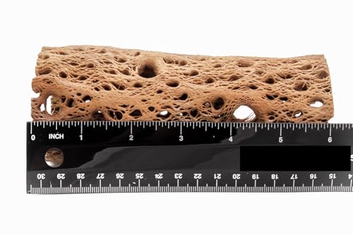Image of 3 to 48 Inch All Natural Teddy Bear Cholla Wood Extra Hollow Large Untreated Organic Aquarium Driftwood Decoration Chew Toy Shrimp Crab Multi-Quantity