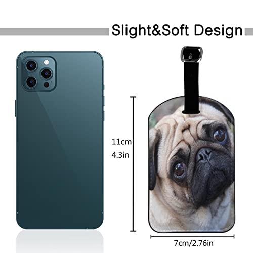 Zoczos Pug Dog Luggage Tags Lovely Shapi Puppy Adorable Doggy Pet Animal The Dog Cocked Its Head Privacy Cover Id Label With Strap And Address Card For Travel Bag Suitcase, 1 Pack #TOP1
