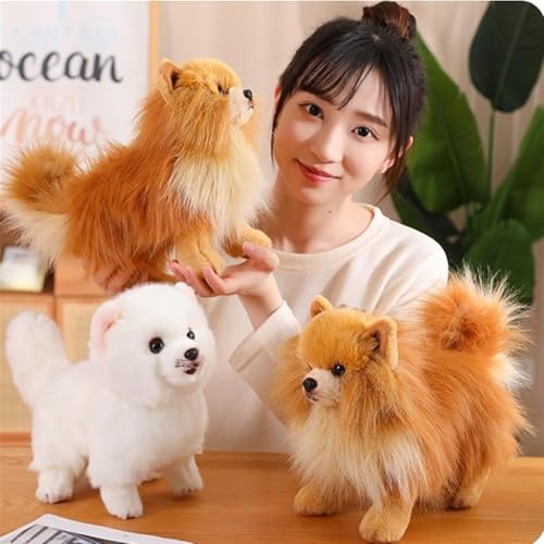RDCIRP Simulation Pomeranian Plüsch, süßes Kuscheltier, Plüsch-Hundespielzeug, Flauschige Hunde-Plüschpuppe, Geschenke for Jungen und Mädchen for Geburtstag(braun)