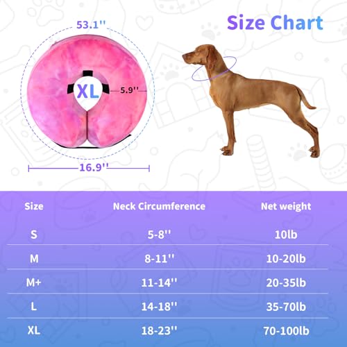 Image of Dog Cone, Y-blue Dog Cone Collar Inflatable Puppy Neck Collar(Rose Purple, XL)