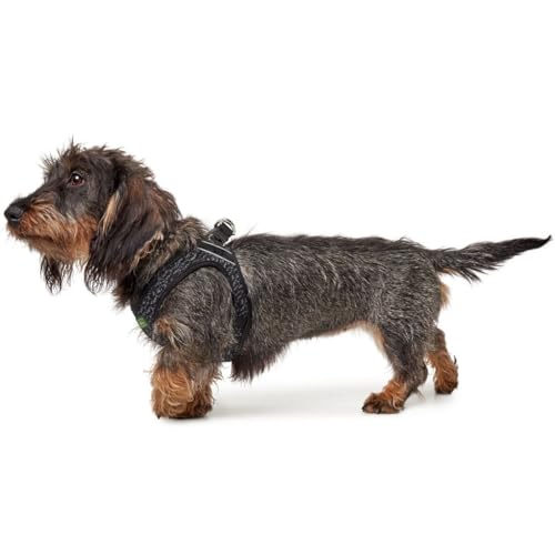 Hundegeschirr Hilo Soft Comfort S, Mesh, grau