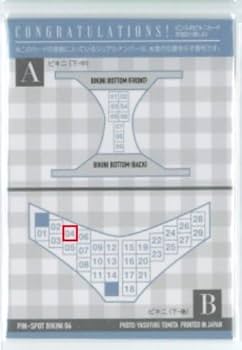 紗綾　ピンスポビキニカード　41枚限定 紗綾 ピンスポビキニカード 41枚限定 Hit's 紗綾Vol.10~20th