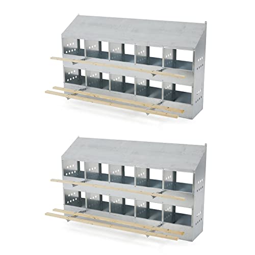 Brower Galvanized Steel 10 Hole and 50 Bird Capacity Outdoor Poultry Nest Chicken Brooding Box with Hinged Folding Perches, Silver, 2 Pack