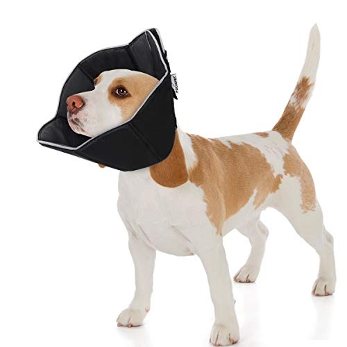 FOCUSPET Dog Cone Collar for Surgery, Pet Recovery Collar for After Surgery, Dogs & Cats Soft Medium Size (13.5-15.5inches) Recovery Collar Protective Collar for Large Dogs Wound Healing