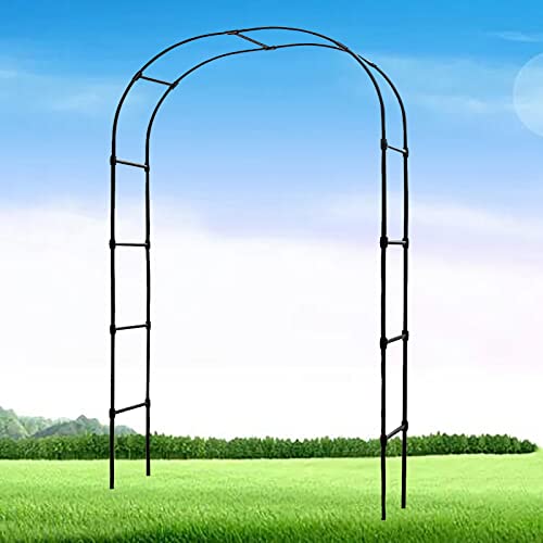 kletterrosen rankhilfe freistehend TEST und Erfahrungen