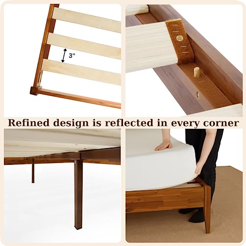 Bme Dinkee 15 Inch Signature Bed Frame Without Headboard - Modern & Minimalist Style With Acacia Wood - 12 Strong Wood Slat Support - Easy Assembly - No Box Spring Needed - Caramel, Queen #TOP4