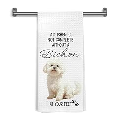 White-bichon Frise