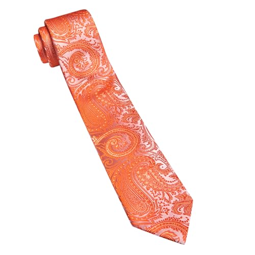 Image of Barry.Wang Paisley Tie for Men Silk Woven Necktie and Tie Clip Set Wedding Party Business Formal