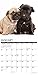 Just French Bulldog Puppies 2021 Wall Calendar (Dog Breed Calendar)