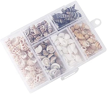 FSSTUD 100 PCS Mixed Beach Seashells Sea Shells Embellishments with Plastic Box for Crafts Home Decorations