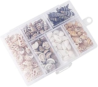 FSSTUD 100 PCS Mixed Beach Seashells Sea Shells Embellishments with Plastic Box for Crafts Home Decorations