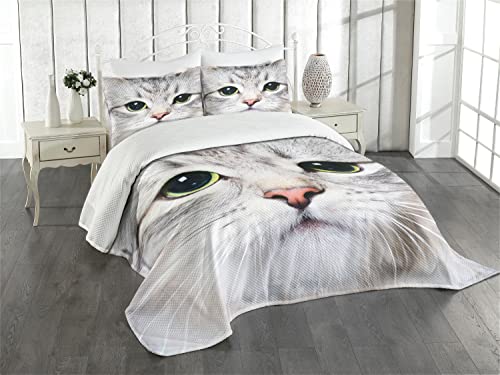 ABAKUHAUS Chat Couvre-lit Matelassé, Visage d'un Kitty Domestique, Décoratif 3 Pièces avec 2 Taies d'Oreillers, Queen, Ivoire Gris