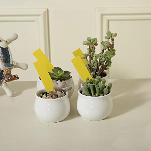 1000 Pcs 4 Inch Garden Plant Labels, Plastic Nursery Tags Waterproof Pot Seed Markers, Yellow #TOP5
