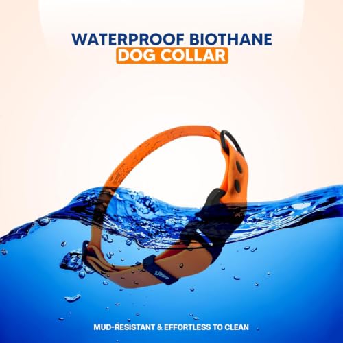 Image of Adil's Biothane Waterproof Dog Collar, Dog Leash & Collar Leash Combo | Heavy Duty TPU Coated Webbing | Adjustable Quick Release Buckle | Odour Resistant (Orange, M-18, Collar only)