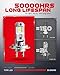 TOPIK Latest T26 H7/H7LL Light Bulb, 36,000LM Super Brighter Real 1:1 Halogen Size 6500K, 50000Hrs Lifespan, 6500K White Illumination H7LL LED for Automotive Fog Lights, 2PCS