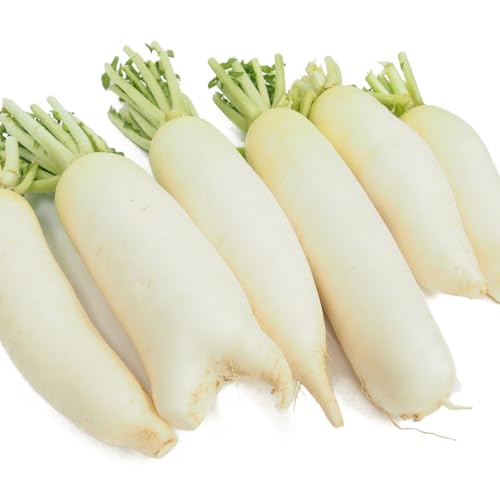 [󂠂] xW^un[g _ 卪 KiO ϕ 낵 ݂ 10kgO