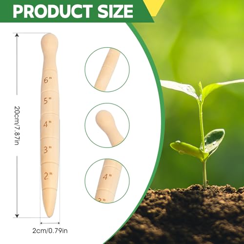 Herramienta de jardinería Wooden Seed Dibber 20 cm miniatura 3