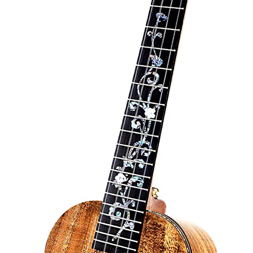 SheIRin All Acacia Ukulele for Beginners 23 Pouces Ukelele Kit pour Enfants Adultes Étudiants Starter Professional… - Les Beatles, Paul McCartney, John Lennon, RIngo Starr, George Harrison SheIRin All Acacia Ukulele for Beginners 23 Pouces Ukelele Kit pour Enfants Adultes Étudiants Starter Professional… – Image 5