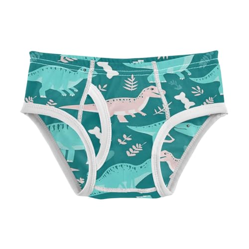 Wusikd Teal Dinosaurs Boys' Underwear Cotton White Bones Boys Briefs Soft Toddler Underwear 2T