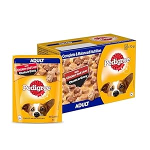Pedigree Adult Wet Dog Food, Chicken & Liver Chunks in Gravy, 70 g (Pack of 15), Made with Real Meat, 100% Complete & Balanced Meal for Adult Dogs