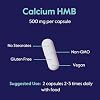 BESTVITE HMB 1000mg per Serving (240 Vegetarian Capsules) - No Stearates - Vegan - Non GMO - Gluten Free - HMB Supplement
