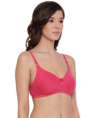 Image of Lyra Women's Cotton Non Padded Wire Free T Shirt Bra