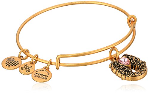 Alex and Ani Fortune's Favor Rafaelian Gold Bangle Bracelet