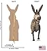 Shrek - Donkey Cardboard Cutout Standee - Officially Licensed - 48 in x 16 in