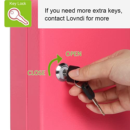 Lovndi Key Box, Security Key Lock Box With 20 Key Hooks, Locking Key Cabinet Wall Mount, 7.8 X 6.3 X 2.9 Inches, Pink #TOP4