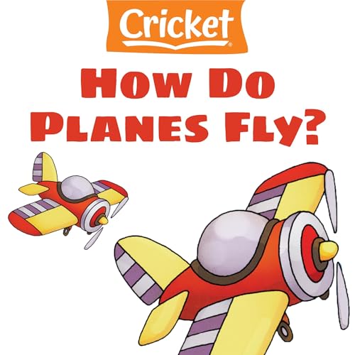 How Do Planes Fly? by Amy Tao episode artwork