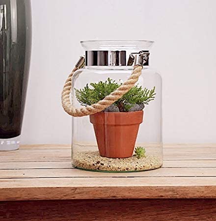 Virya Glass Lantern with Jute Rope Handle, Hanging Planters Decoration,pots for Plants, Tealight Holders, Garden Planters Candle Holder (Clear, Pack of 1)