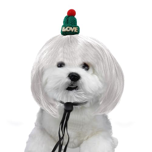 ̂ALp̂킢RXvEBbOAʔ̃wbhEFAAnEBANX}XAp[eB[AtFXeBop̃ybgwAANZT[(Vo[O[u)