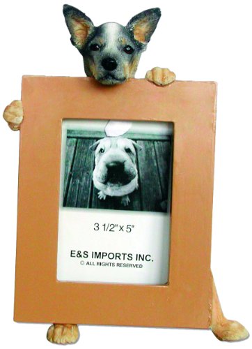 Australian Cattle 2.5