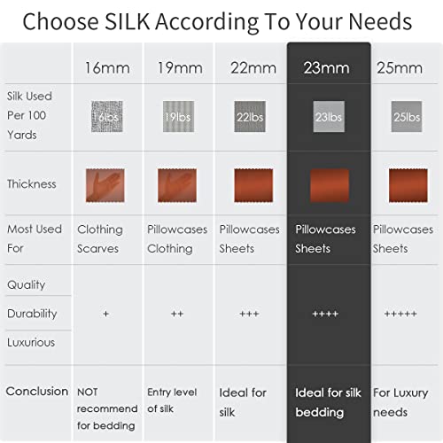 Promeed Queen Silk Bedding Set 3 Piece With Duvet Cover And Pillowcases, 23 Momme Real Silk Bed Duvet Cover Set For Sensitive Skin, Zipper Closure (Champagne, Queen) #TOP4