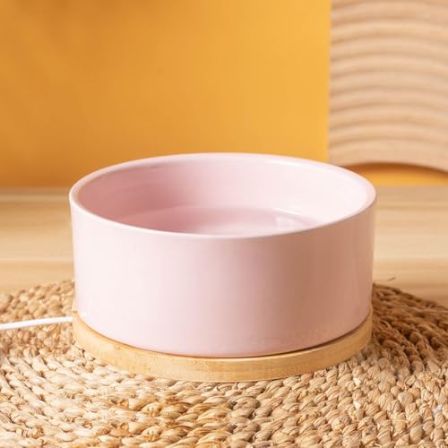 Liemuao Beheizter Katzennapf, 350 ml/600ml Haustier-Wassernapf-Heizung, beheizter Keramik-Wassernapf,USB-Lade-Wasserspender für Katzen, Hunde im Freien und drinnen (Weiß, 350ML)